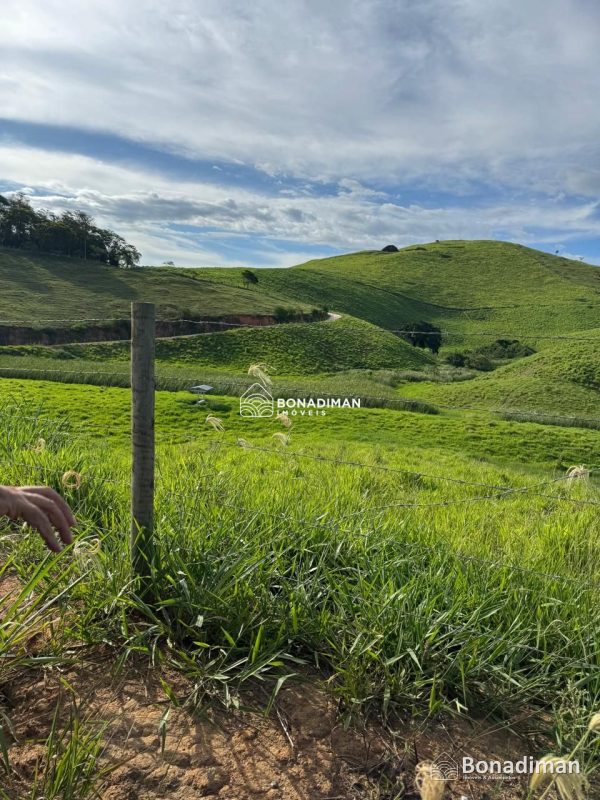 EXCELENTE ÁREA RURAL ÀS MARGENS DA BR-101! - foto 2