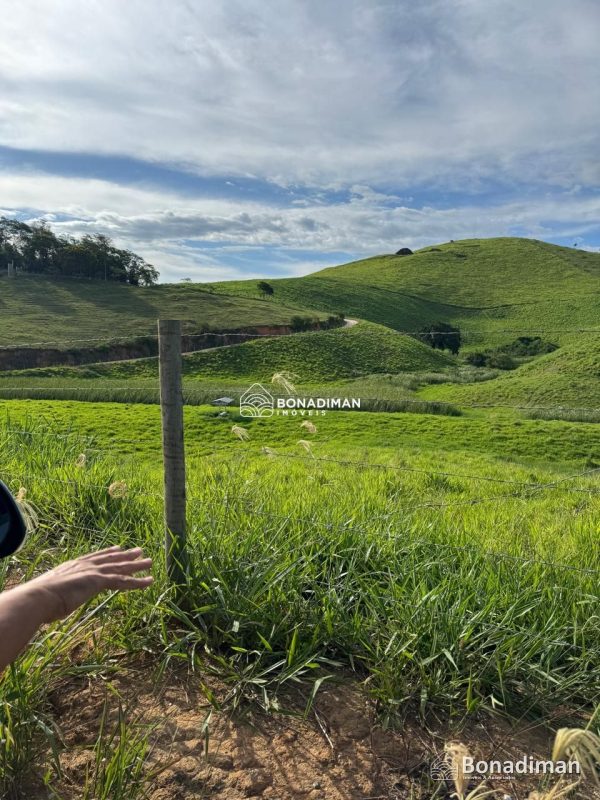 EXCELENTE ÁREA RURAL ÀS MARGENS DA BR-101! - foto 3