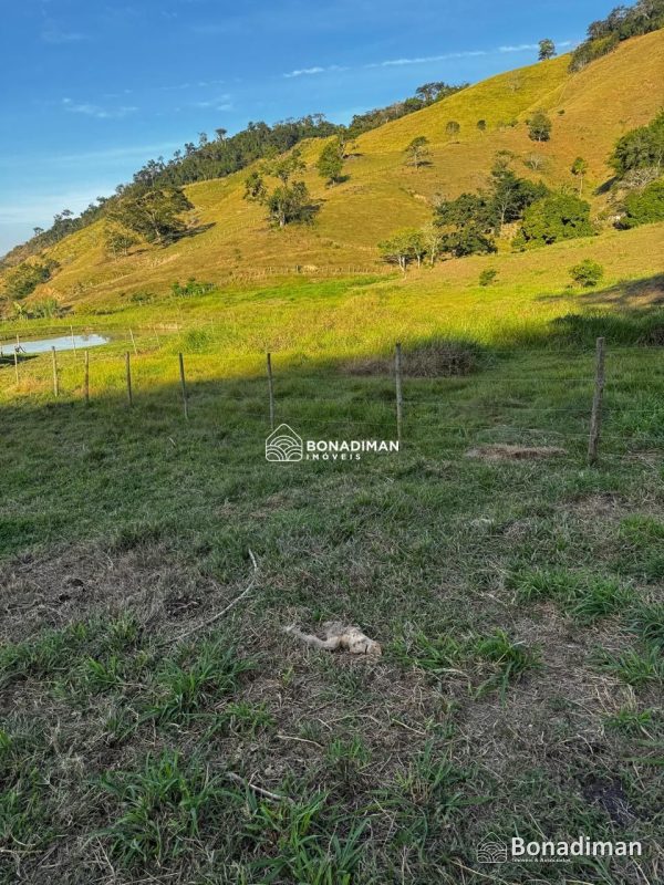 Oportunidade para quem busca uma propriedade completa no campo! - foto 5