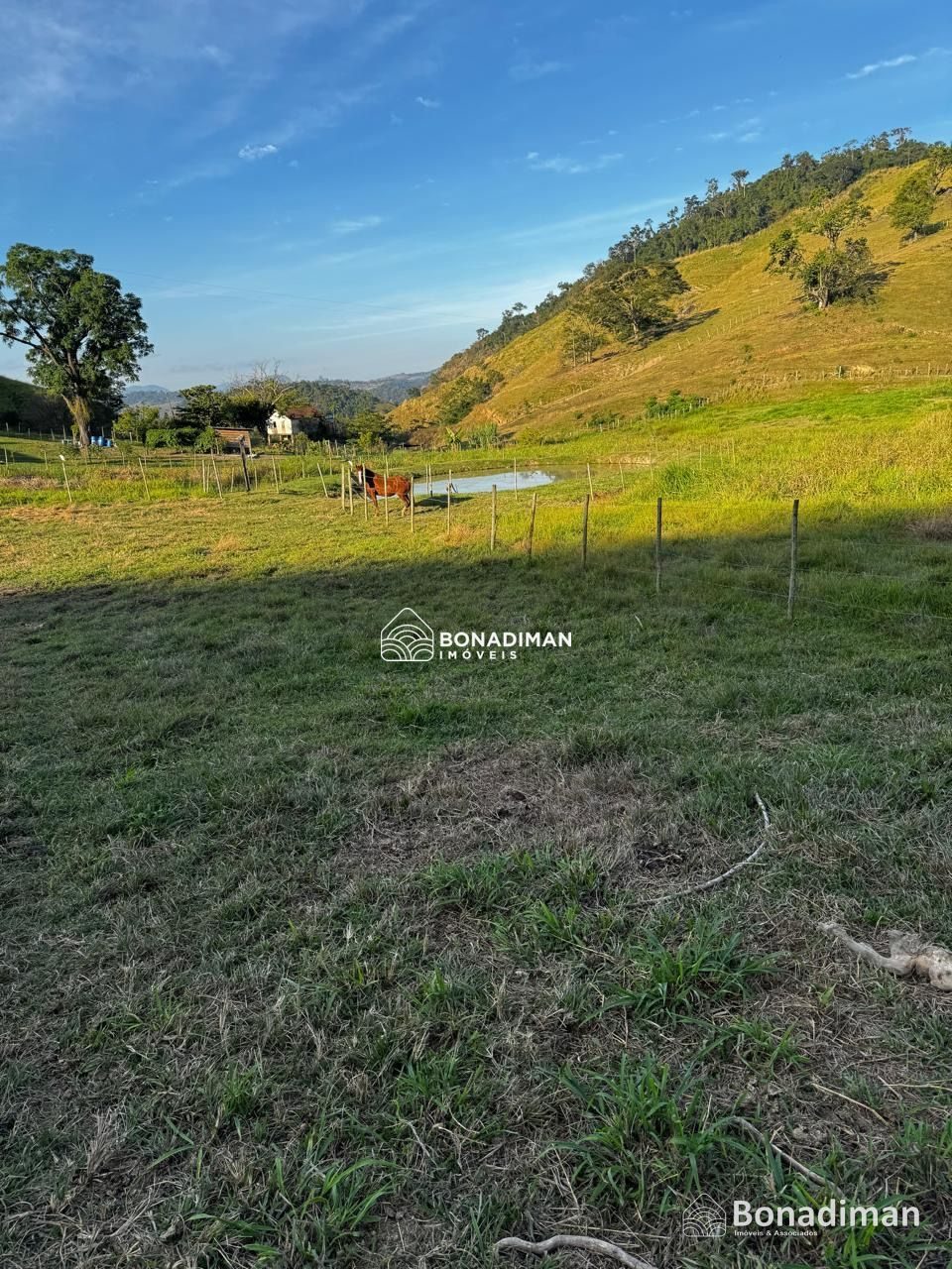 Oportunidade para quem busca uma propriedade completa no campo! - foto 6