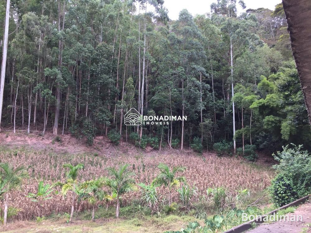 PROPRIEDADE RURAL COMPLETA – 8,5 ALQUEIRES - MARECHAL FLORIANO! - foto 1