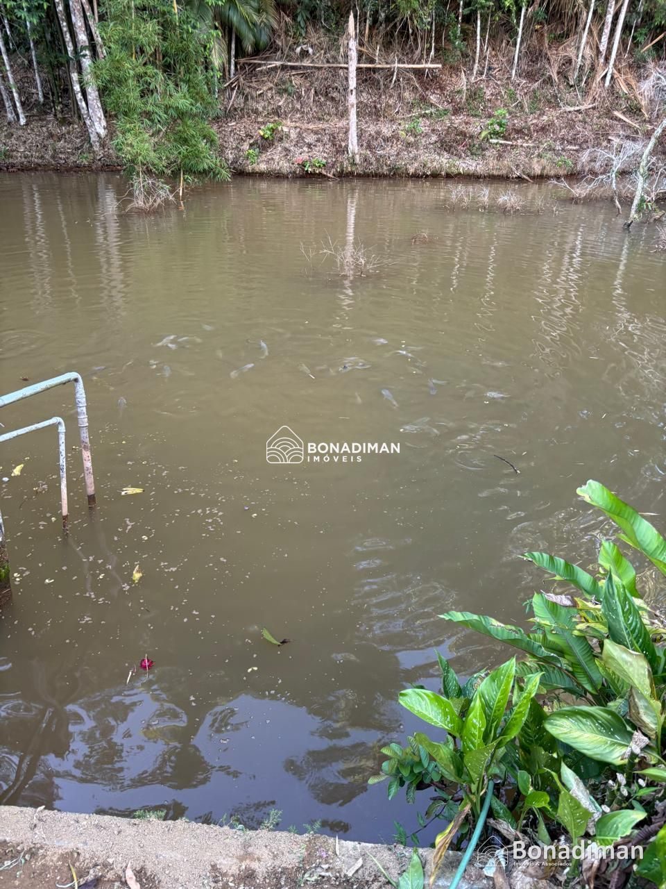 PROPRIEDADE RURAL COMPLETA – 8,5 ALQUEIRES - MARECHAL FLORIANO! - foto 2