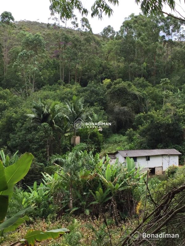 PROPRIEDADE RURAL COMPLETA – 8,5 ALQUEIRES - MARECHAL FLORIANO! - foto 3
