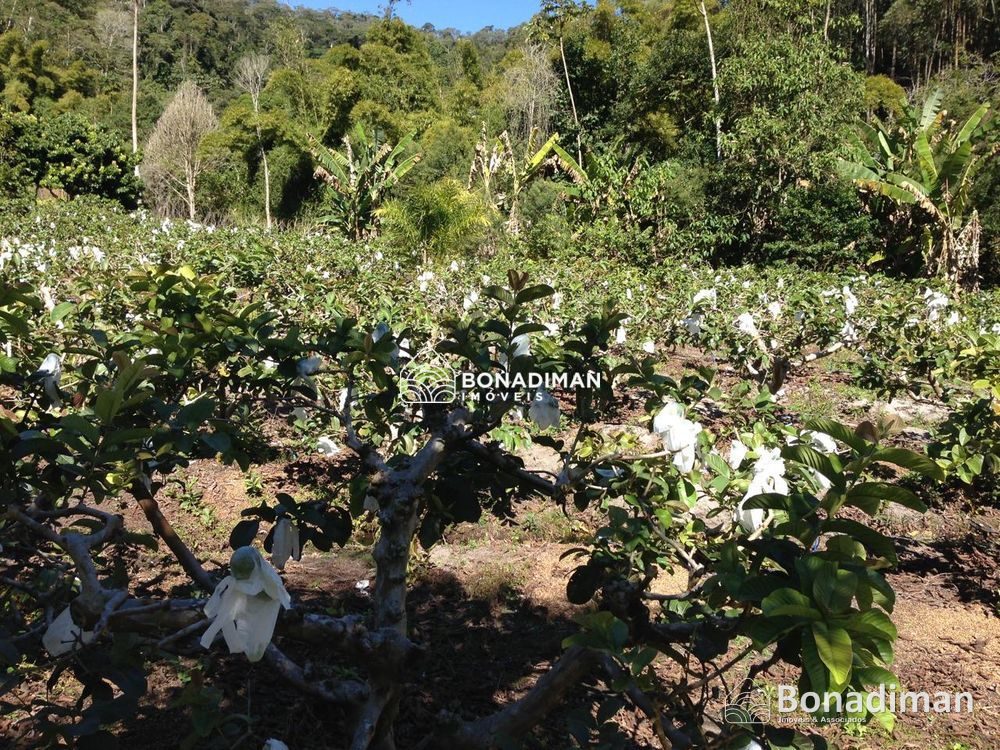 PROPRIEDADE RURAL COMPLETA – 8,5 ALQUEIRES - MARECHAL FLORIANO! - foto 6