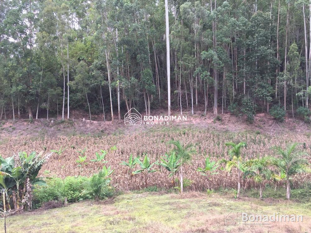 PROPRIEDADE RURAL COMPLETA – 8,5 ALQUEIRES - MARECHAL FLORIANO! - foto 7