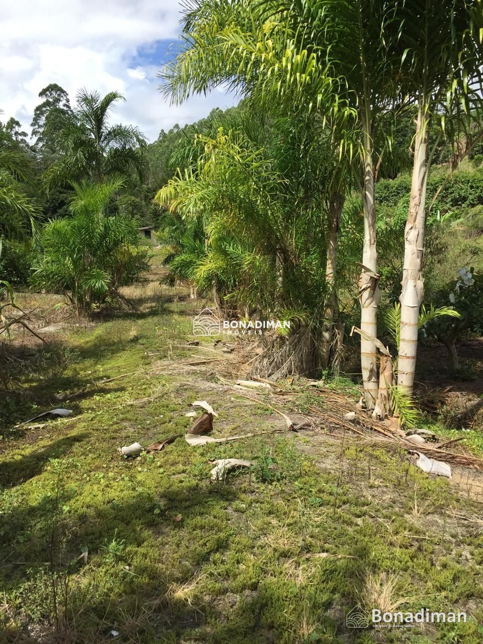 PROPRIEDADE RURAL COMPLETA – 8,5 ALQUEIRES - MARECHAL FLORIANO! - foto 10