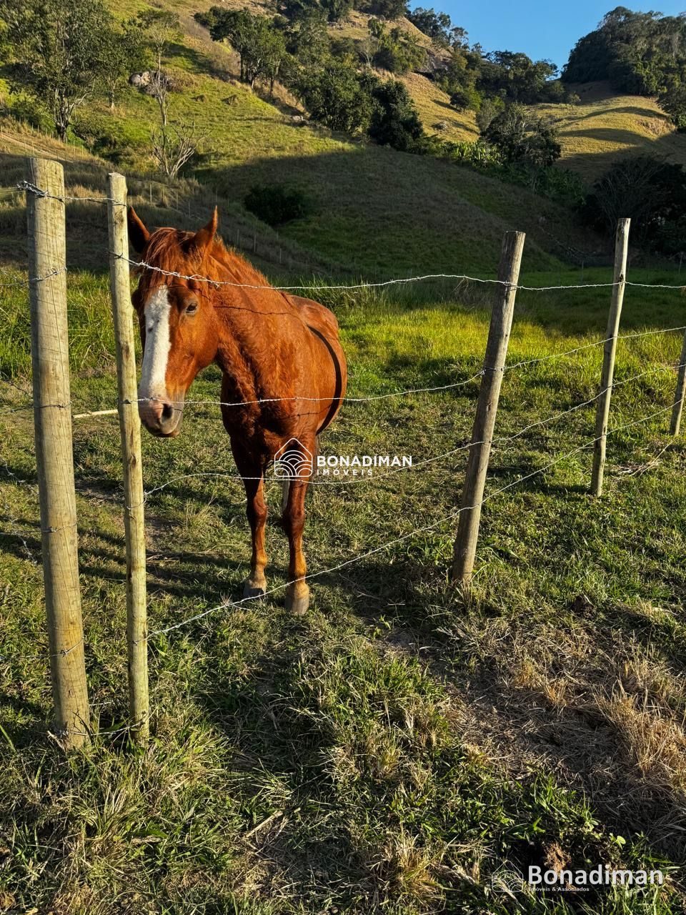 Oportunidade para quem busca uma propriedade completa no campo! - foto 9