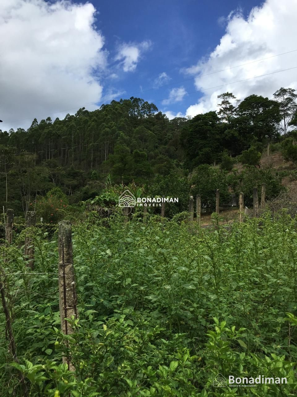 PROPRIEDADE RURAL COMPLETA – 8,5 ALQUEIRES - MARECHAL FLORIANO! - foto 11