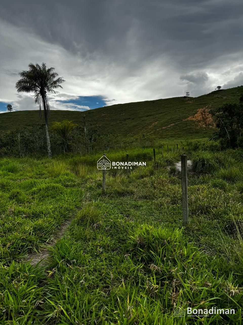 PROPRIEDADE RURAL À VENDA – ESTRADA PARA MARATAÍZES! - foto 2