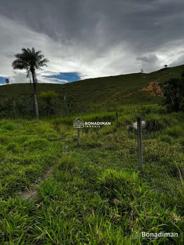 PROPRIEDADE RURAL À VENDA – ESTRADA PARA MARATAÍZES! - foto 2