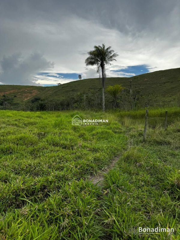 PROPRIEDADE RURAL À VENDA – ESTRADA PARA MARATAÍZES! - foto 3
