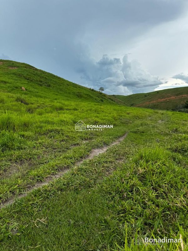 PROPRIEDADE RURAL À VENDA – ESTRADA PARA MARATAÍZES! - foto 4