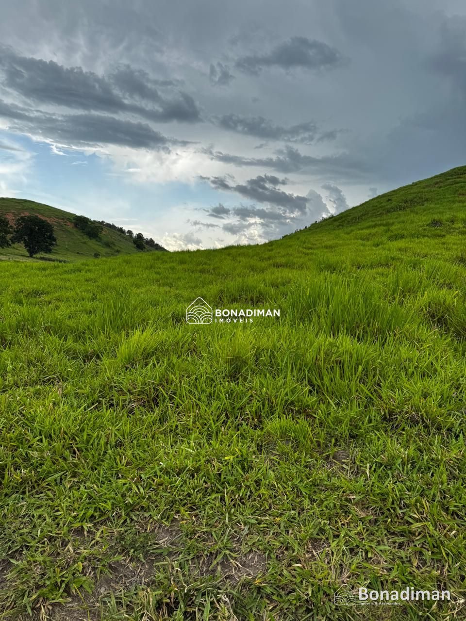 PROPRIEDADE RURAL À VENDA – ESTRADA PARA MARATAÍZES! - foto 6