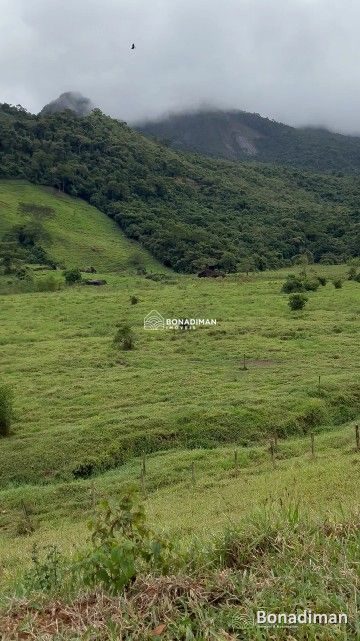 Fazenda em Caju  -  Mimoso do Sul! - foto 10
