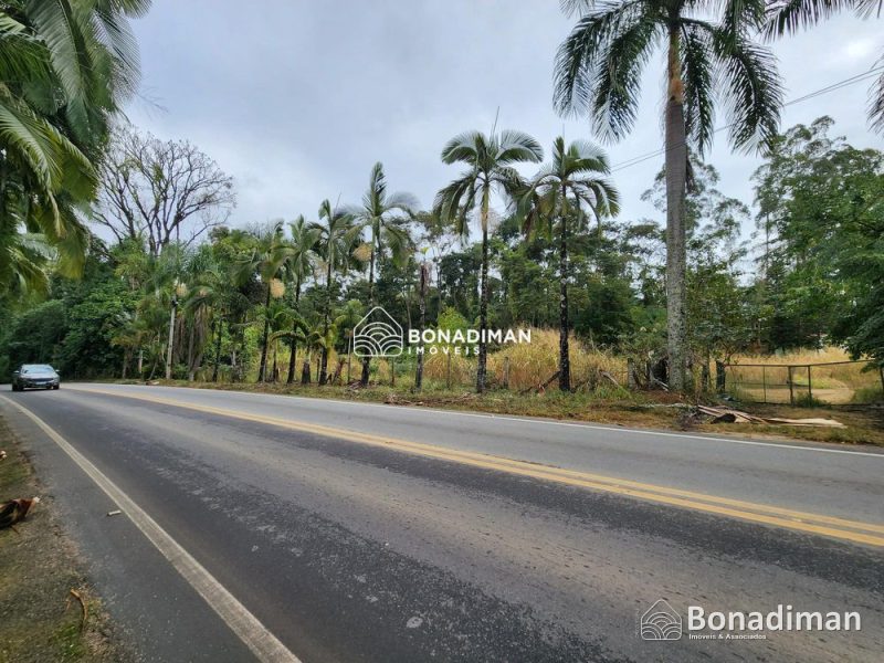 Área à venda entre Fruteiras e Vargem Alta – ES! - foto 4
