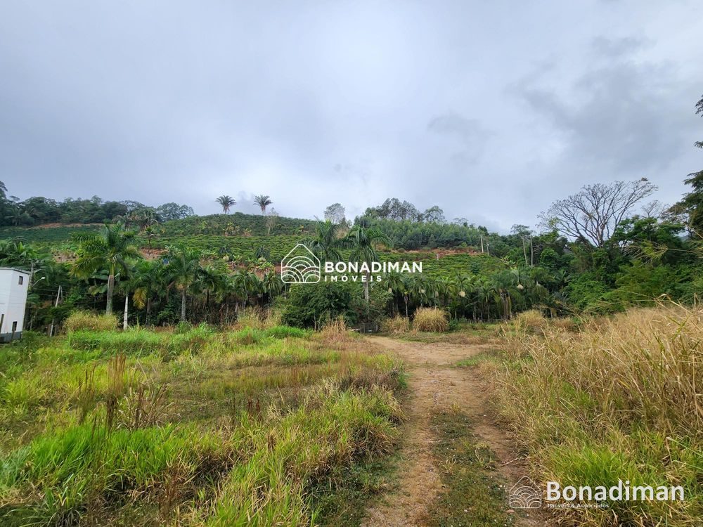 Área à venda entre Fruteiras e Vargem Alta – ES! - foto 9