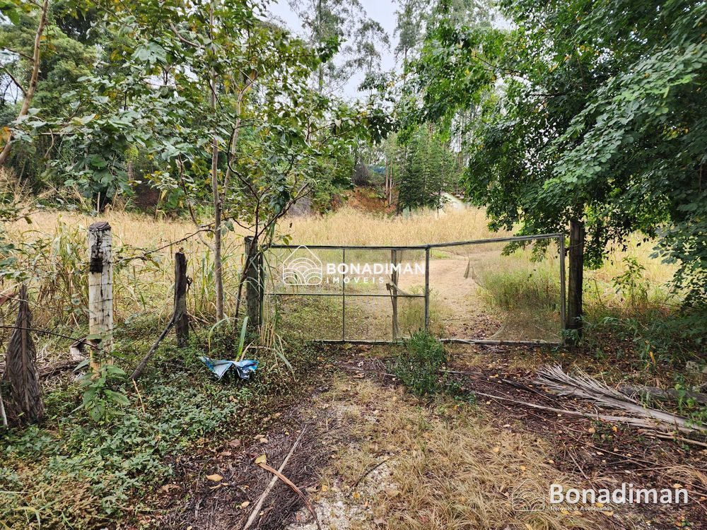 Área à venda entre Fruteiras e Vargem Alta – ES! - foto 12