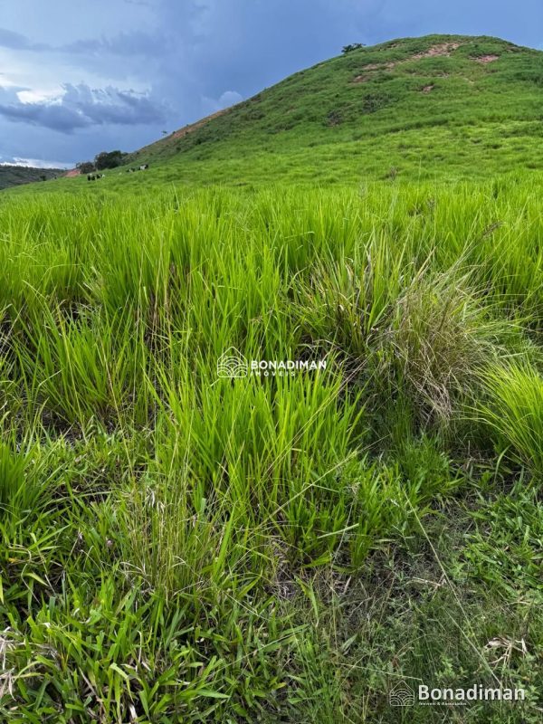 Rural à venda – Praia Lagoa Funda, Marataizes